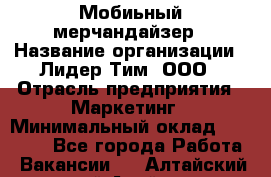 Мобиьный мерчандайзер › Название организации ­ Лидер Тим, ООО › Отрасль предприятия ­ Маркетинг › Минимальный оклад ­ 23 000 - Все города Работа » Вакансии   . Алтайский край,Алейск г.